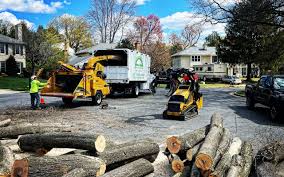 Best Emergency Tree Removal  in Smyrna, GA